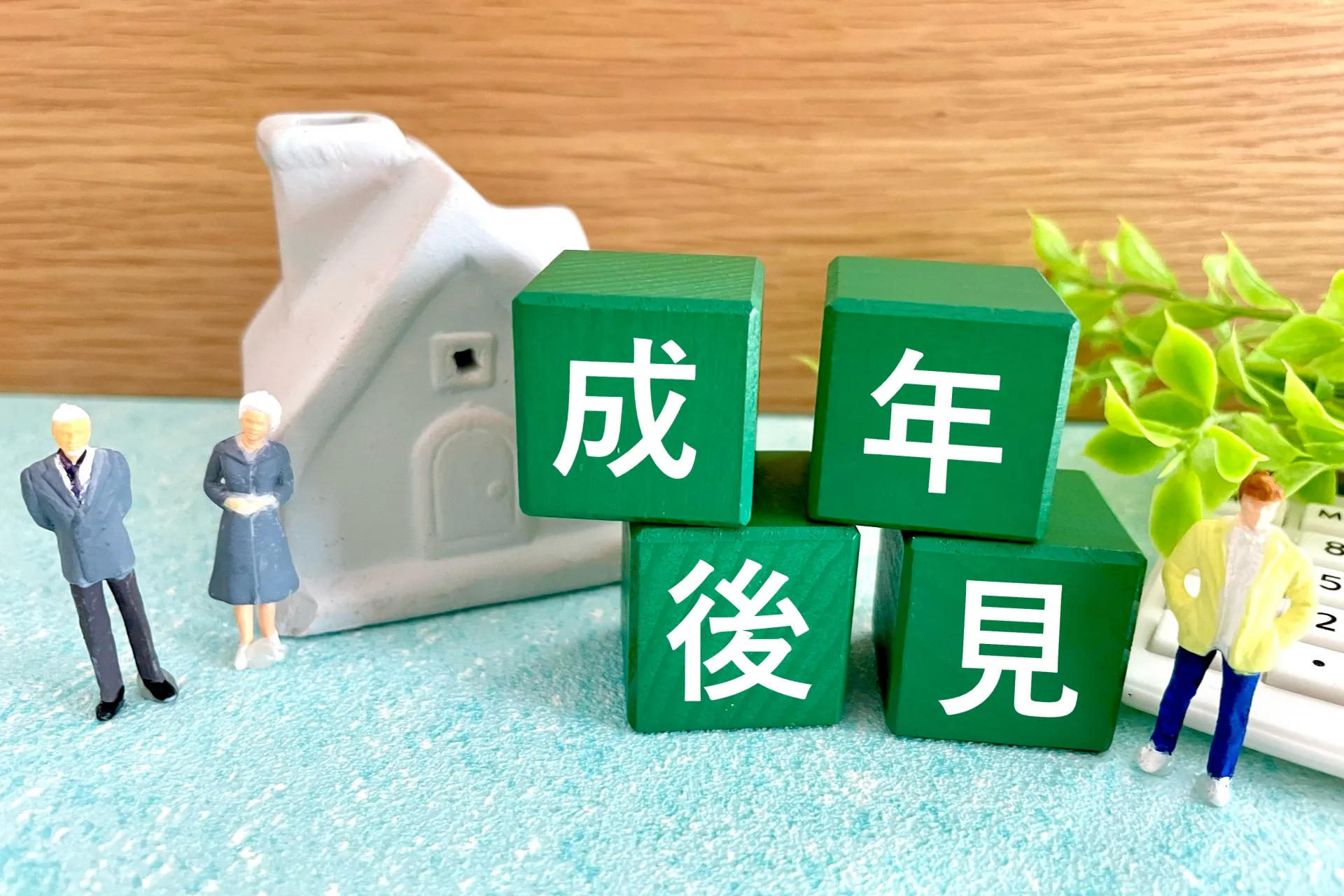 成年後見人 とは 親の認知症 不動産売却 制度 売却方法 東京財託